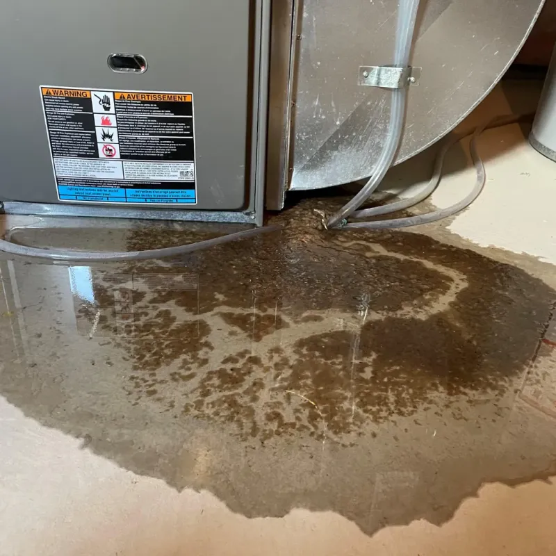 Appliance Leak Cleanup in Crocker, MO