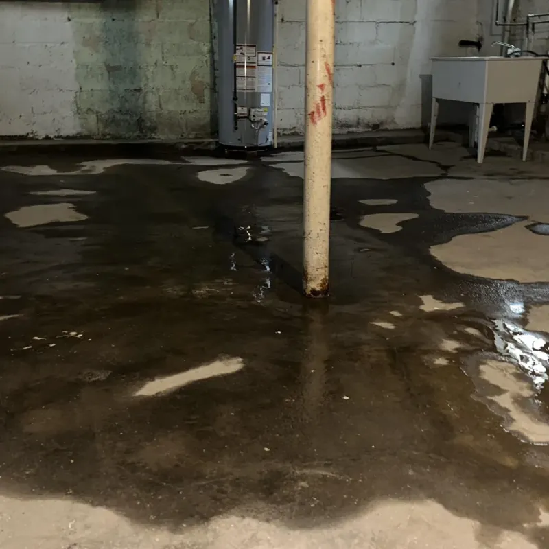 Emergency Water Extraction And Removal in Crocker, MO